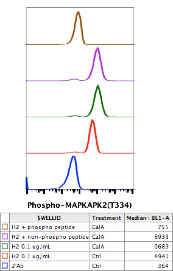 Flow Cytometry - Anti-MK2 (phospho T334) antibody [MAPKAPK2T334-H2] (AB278705), expandable thumbnail
