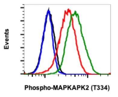 Flow Cytometry - Anti-MK2 (phospho T334) antibody [MAPKAPK2T334-H2] (AB278705)