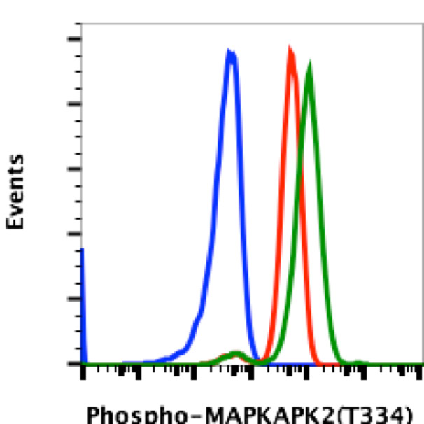 Flow Cytometry - Anti-MK2 (phospho T334) antibody [MAPKAPK2T334-H2] (AB278705), expandable thumbnail