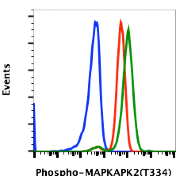 Flow Cytometry - Anti-MK2 (phospho T334) antibody [MAPKAPK2T334-H2] (AB278705)