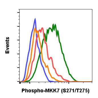 Flow Cytometry - Anti-MKK7 (phospho S271 + T275) antibody [MKK7S271T275-R4F9] (AB278704)