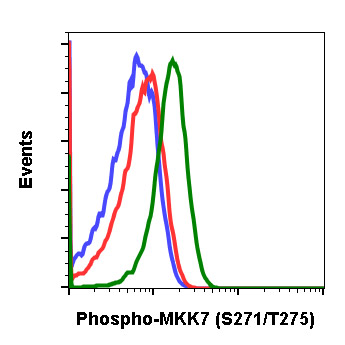 Flow Cytometry - Anti-MKK7 (phospho S271 + T275) antibody [MKK7S271T275-R4F9] (AB278704)