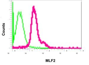 Flow Cytometry (Intracellular) - Anti-MLF2 antibody [EPR10245(2)] - BSA and Azide free (AB250186), expandable thumbnail