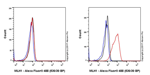 Flow Cytometry (Intracellular) - Anti-MLH1 antibody [EPR20741] - BSA and Azide free (AB230383)