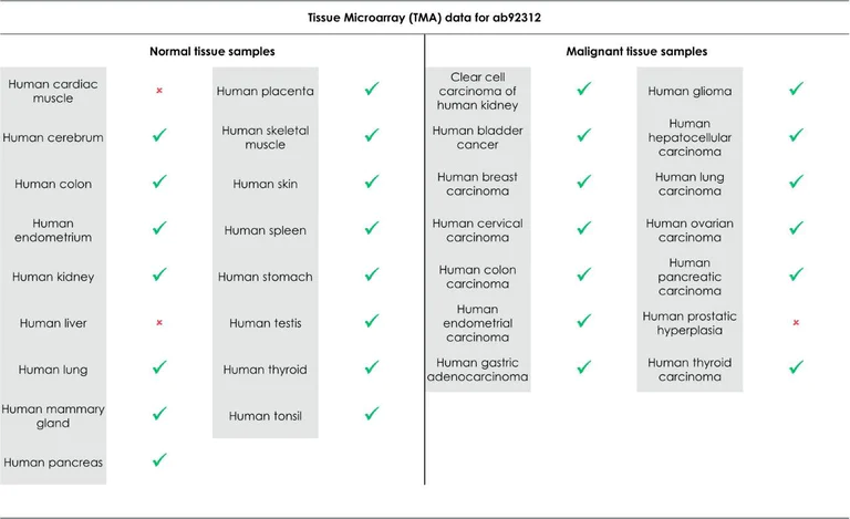 Immunohistochemistry (Formalin/PFA-fixed paraffin-embedded sections) - Anti-MLH1 antibody [EPR3894] - BSA and Azide free (AB214441)