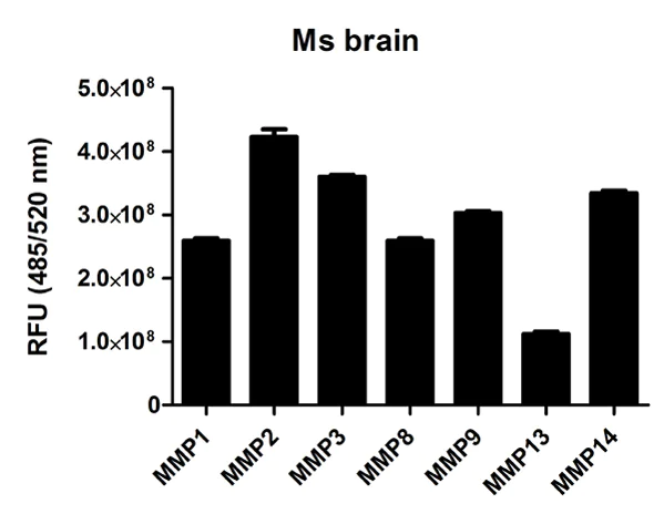 Functional Studies - MMP Activity Assay Kit (Fluorometric - Green) (AB112146)