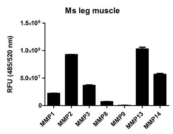 Functional Studies - MMP Activity Assay Kit (Fluorometric - Green) (AB112146)