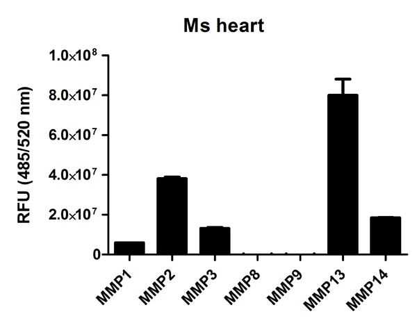 Functional Studies - MMP Activity Assay Kit (Fluorometric - Green) (AB112146)
