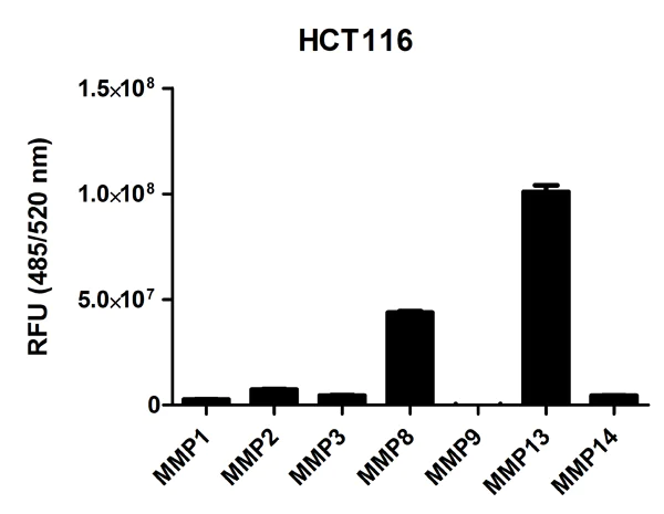 Functional Studies - MMP Activity Assay Kit (Fluorometric - Green) (AB112146)