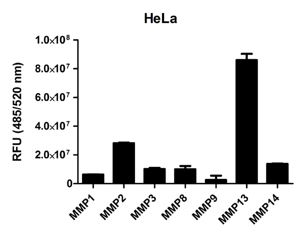 Functional Studies - MMP Activity Assay Kit (Fluorometric - Green) (AB112146)