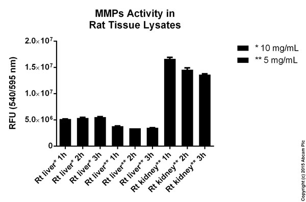 Functional Studies - MMP Activity Assay Kit (Fluorometric - Red) (AB112147), expandable thumbnail