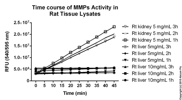 Functional Studies - MMP Activity Assay Kit (Fluorometric - Red) (AB112147), expandable thumbnail