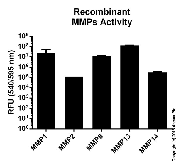 Functional Studies - MMP Activity Assay Kit (Fluorometric - Red) (AB112147), expandable thumbnail