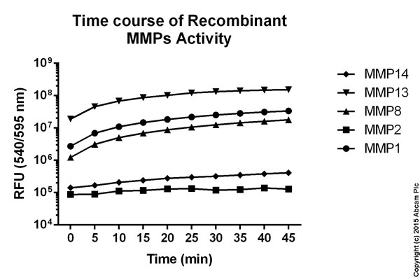 Functional Studies - MMP Activity Assay Kit (Fluorometric - Red) (AB112147), expandable thumbnail