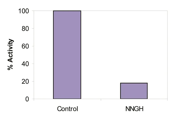 Functional Studies - MMP1 Inhibitor Screening Assay Kit (Colorimetric) (AB139443)