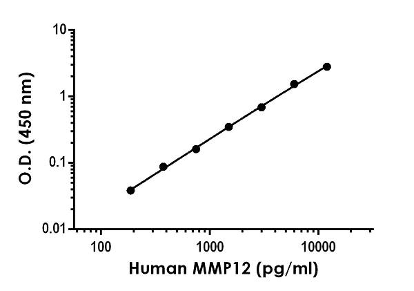 Sandwich ELISA - Anti-MMP12 antibody [EPR22228-62] - BSA and Azide free (Detector) (AB259748)