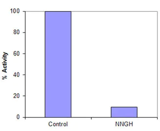 Functional Studies - MMP12 Inhibitor Screening Assay Kit (Colorimetric) (AB139441)