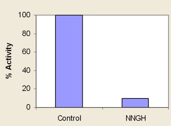 Functional Studies - MMP12 Inhibitor Screening Assay Kit (Fluorometric) (AB139442)