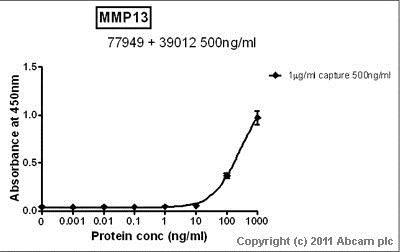 Sandwich ELISA - Anti-MMP13 antibody (AB39012)