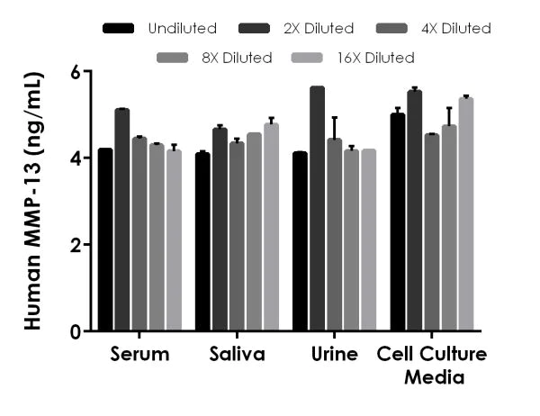 ELISA - Anti-MMP13 antibody [EPR19120-115] - BSA and Azide free (Detector) (AB242921)