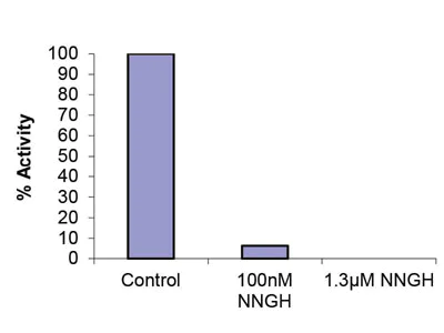 Functional Studies - MMP13 Inhibitor Screening Assay Kit (Colorimetric) (AB139450)