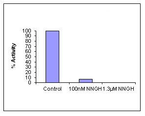 Functional Studies - MMP13 Inhibitor Screening Assay Kit (Fluorometric) (AB139451)