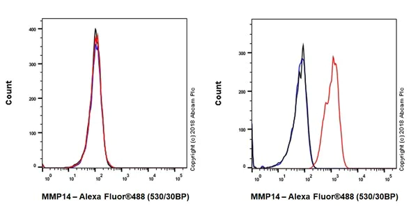 Flow Cytometry (Intracellular) - Anti-MMP14 antibody [EP1264Y] - Low endotoxin, Azide free (AB168726)