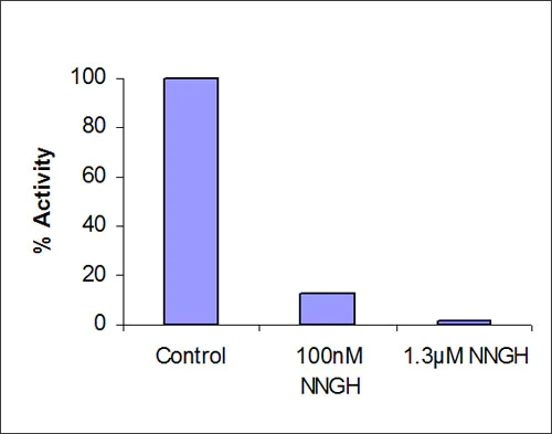 Functional Studies - MMP14 Inhibitor Screening Assay Kit (Colorimetric) (AB139454)