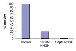 Functional Studies - MMP14 Inhibitor Screening Assay Kit (Fluorometric) (AB139455), expandable thumbnail