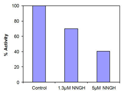 Functional Studies - MMP7 Inhibitor Screening Assay Kit (Fluorometric) (AB139445)