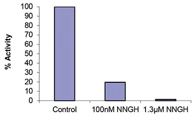 Functional Studies - MMP8 Inhibitor Screening Assay Kit (Fluorometric) (AB139453)