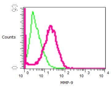 Flow Cytometry (Intracellular) - Anti-MMP9 antibody [EP1254] (ab76003), expandable thumbnail