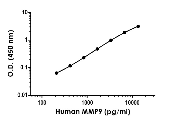 Sandwich ELISA - Anti-MMP9 antibody [EPR22154-211] - BSA and Azide free (Detector) (AB259616)
