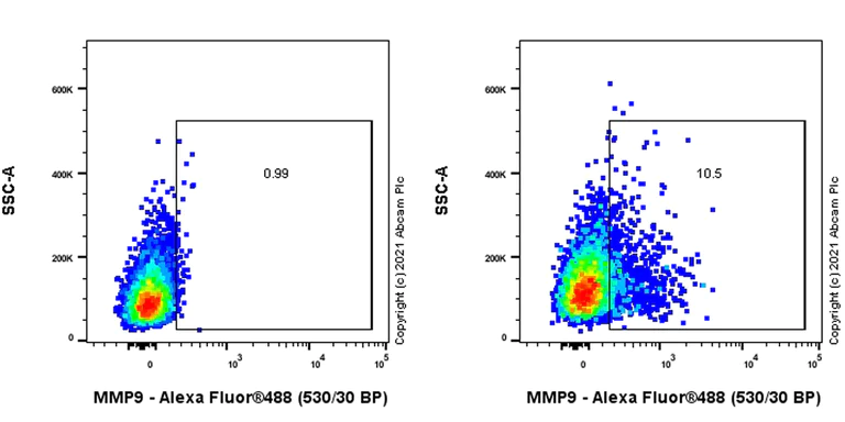 Flow Cytometry (Intracellular) - Anti-MMP9 antibody [RM1020] (AB283575)