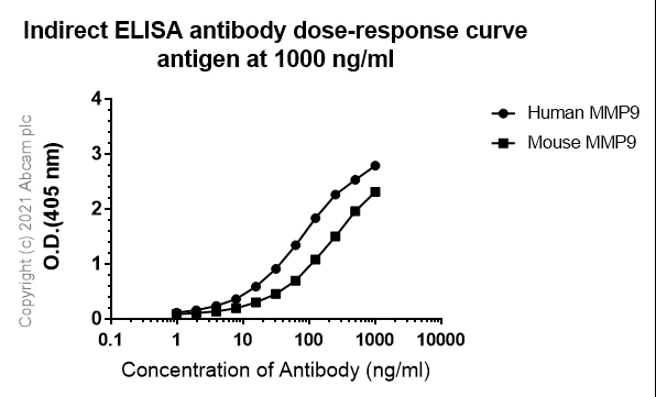 Indirect ELISA - Anti-MMP9 antibody [RM1020] (AB283575)