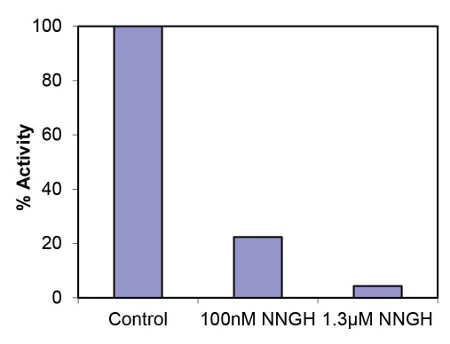 Functional Studies - MMP9 Inhibitor Screening Assay Kit (Colorimetric) (AB139448)