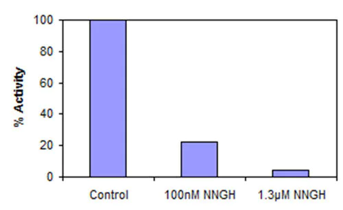 Functional Studies - MMP9 Inhibitor Screening Assay Kit (Fluorometric) (AB139449)
