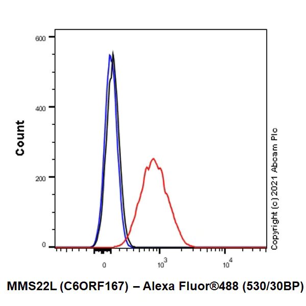 Flow Cytometry (Intracellular) - Anti-MMS22L (C6ORF167) antibody [EPR13654] - BSA and Azide free (AB250307)
