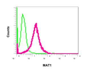 Flow Cytometry (Intracellular) - Anti-MNAT1 antibody [EPR2555(2)] (AB154802)