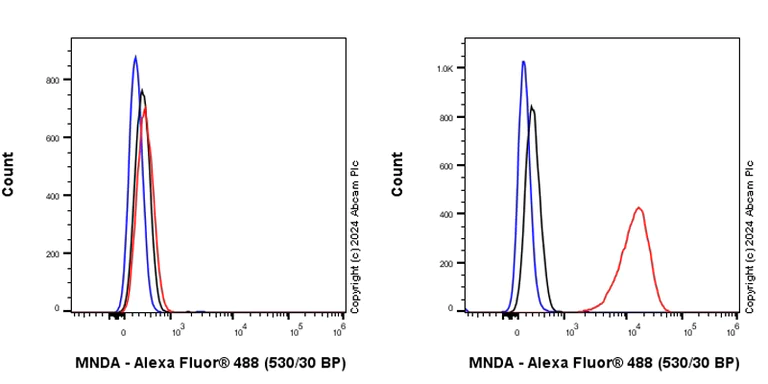 Flow Cytometry (Intracellular) - Anti-MNDA antibody [EPR28267-44] (AB316967)
