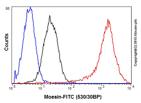 Flow Cytometry (Intracellular) - Anti-Moesin antibody [EP1863Y] - BSA and Azide free (AB232580), expandable thumbnail