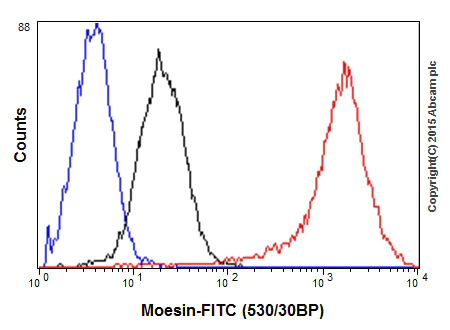 Flow Cytometry (Intracellular) - Anti-Moesin antibody [EP1863Y] - BSA and Azide free (AB232580)
