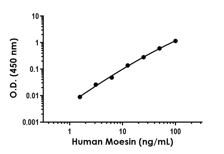 Sandwich ELISA - Moesin Antibody Pair - BSA and Azide free (AB253768)
