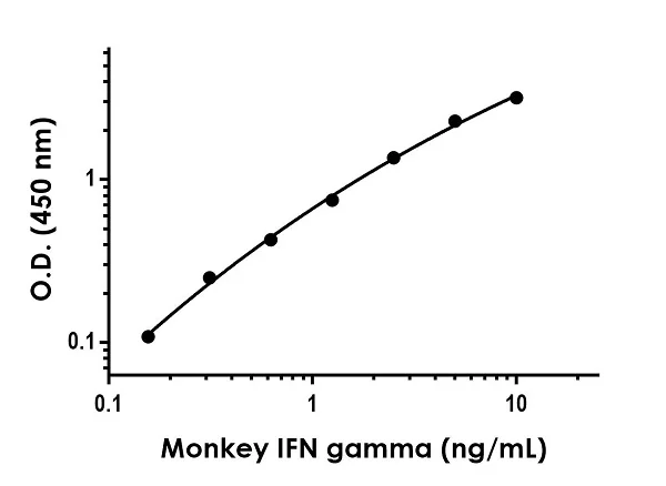 Sandwich ELISA - Monkey IFN gamma ELISA Kit (AB270895)