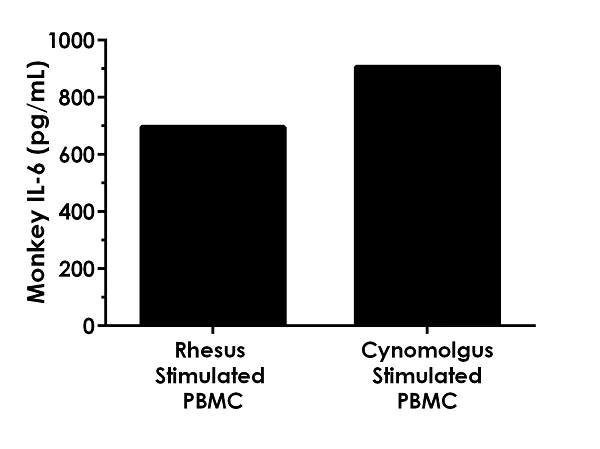 Sandwich ELISA - Monkey IL-6 ELISA Kit (AB242233)