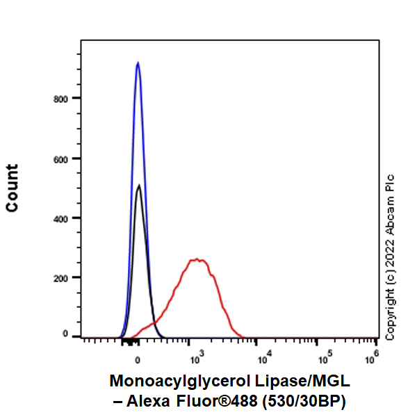 Flow Cytometry (Intracellular) - Anti-Monoacylglycerol Lipase/MGL antibody [EPR26936-12] (AB307162), expandable thumbnail