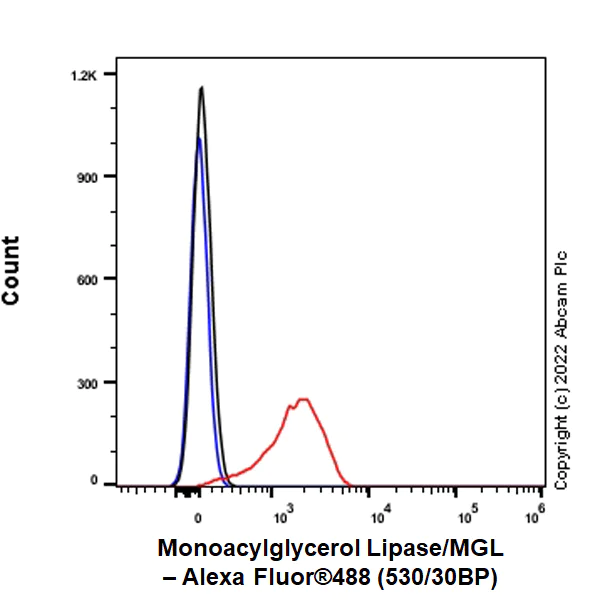 Flow Cytometry (Intracellular) - Anti-Monoacylglycerol Lipase/MGL antibody [EPR26936-12] - BSA and Azide free (AB307163)