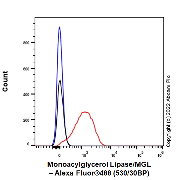 Flow Cytometry (Intracellular) - Anti-Monoacylglycerol Lipase/MGL antibody [EPR26936-12] - BSA and Azide free (AB307163)