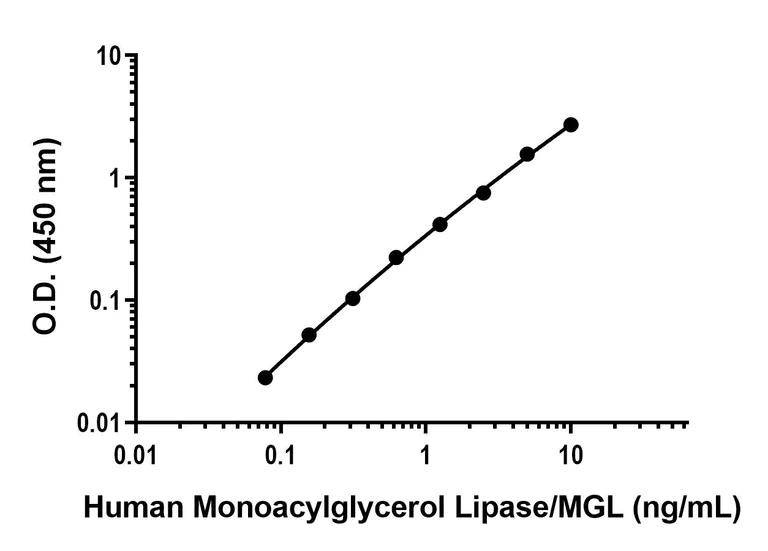 Sandwich ELISA - Anti-Monoacylglycerol Lipase/MGL antibody [EPR26936-56] - BSA and Azide free (Detector) (AB309587)