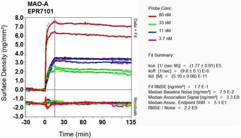 OI-RD Scanning - Anti-Monoamine Oxidase A/MAO-A antibody [EPR7101] - BSA and Azide free (ab240031), expandable thumbnail